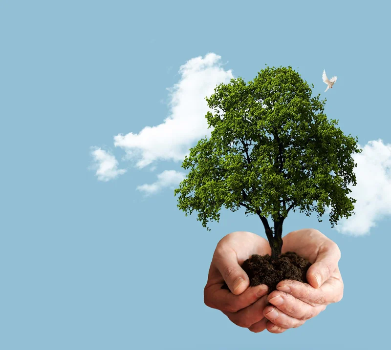 Environmental