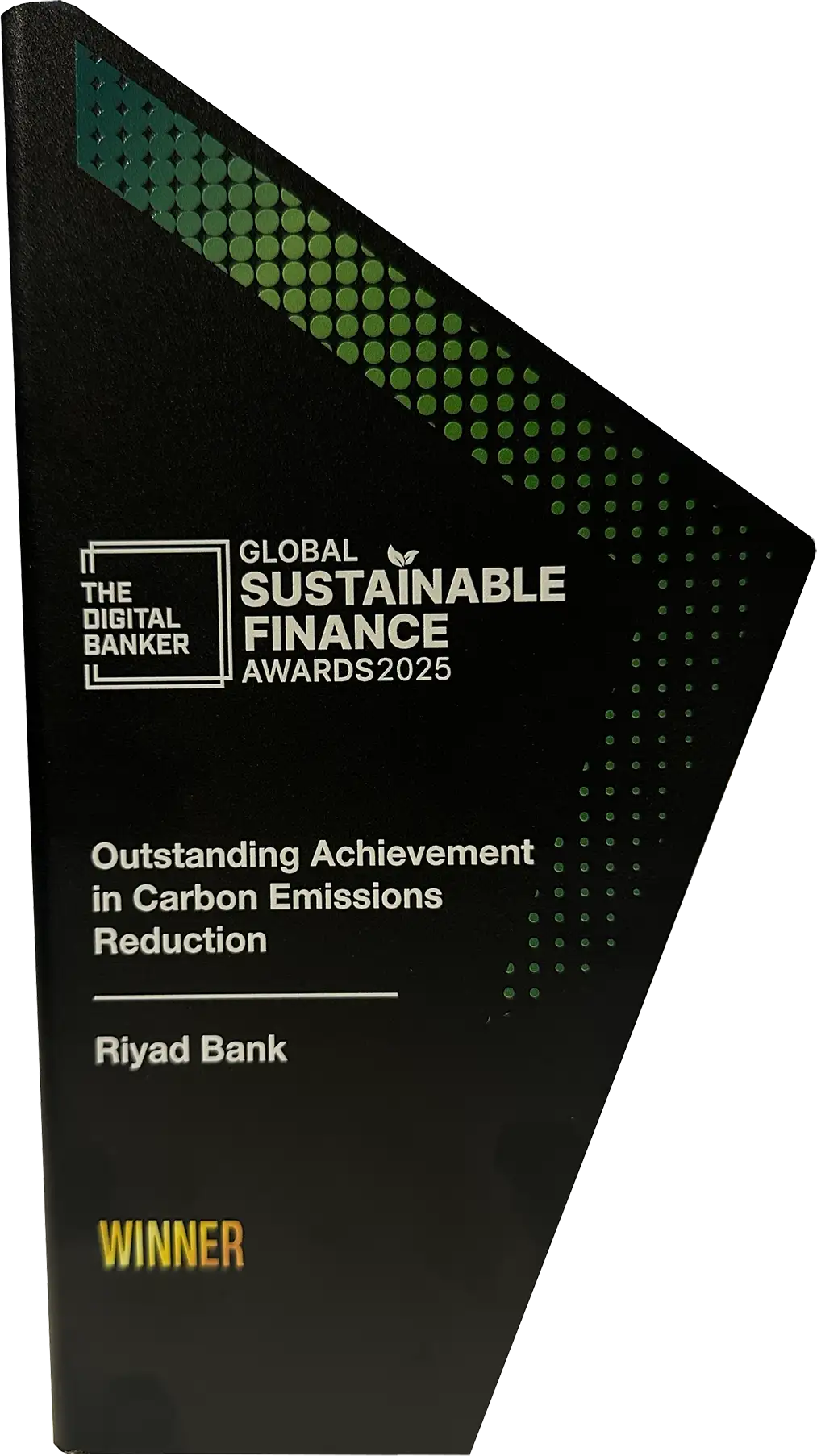 OUTSTANDING ACHIEVEMENT IN CARBON EMISSION REDUCTION
